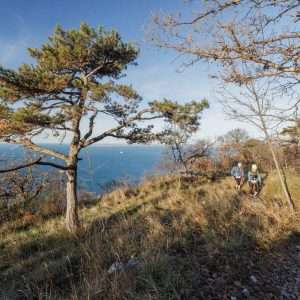 Half Trail 2025 — sole sul Carso