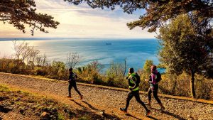Borderless 36 km