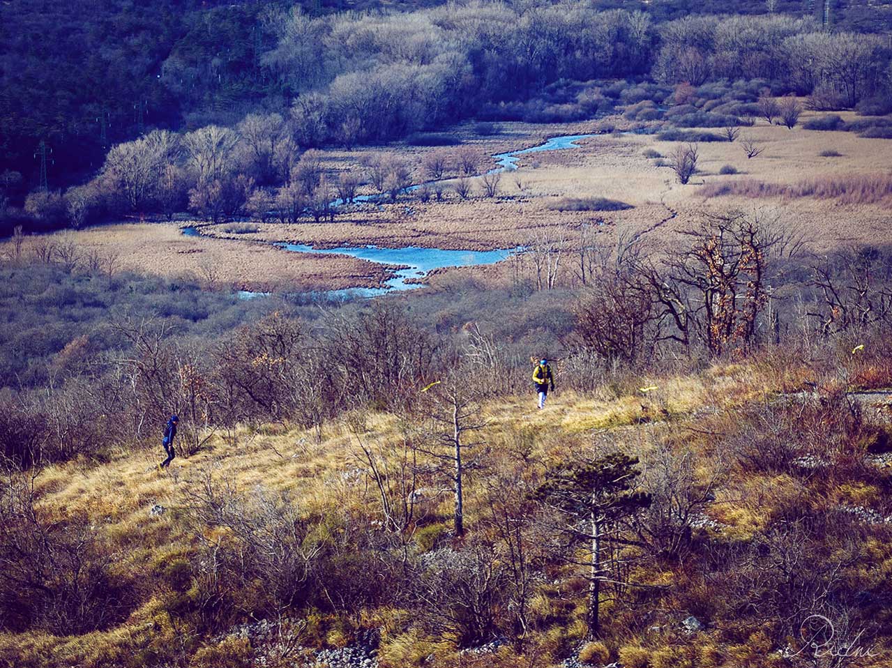 Runner alla Corsa della Bora 2027, Trieste Ultra Trail (ph. IoSonoFVG)