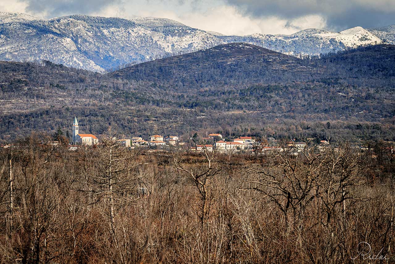 Runner alla Corsa della Bora 2027, Trieste Ultra Trail (ph. IoSonoFVG)