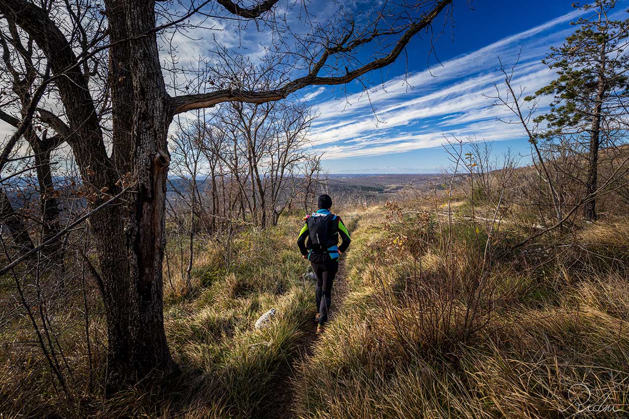 Runner alla Corsa della Bora 2027, Trieste Ultra Trail (ph. IoSonoFVG)