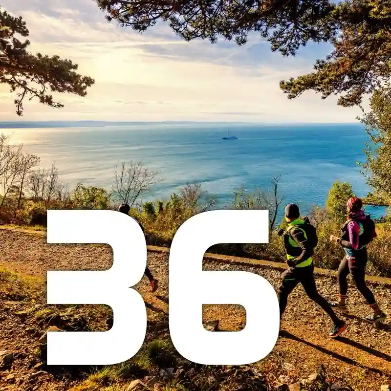 Borderless Trail 36 km