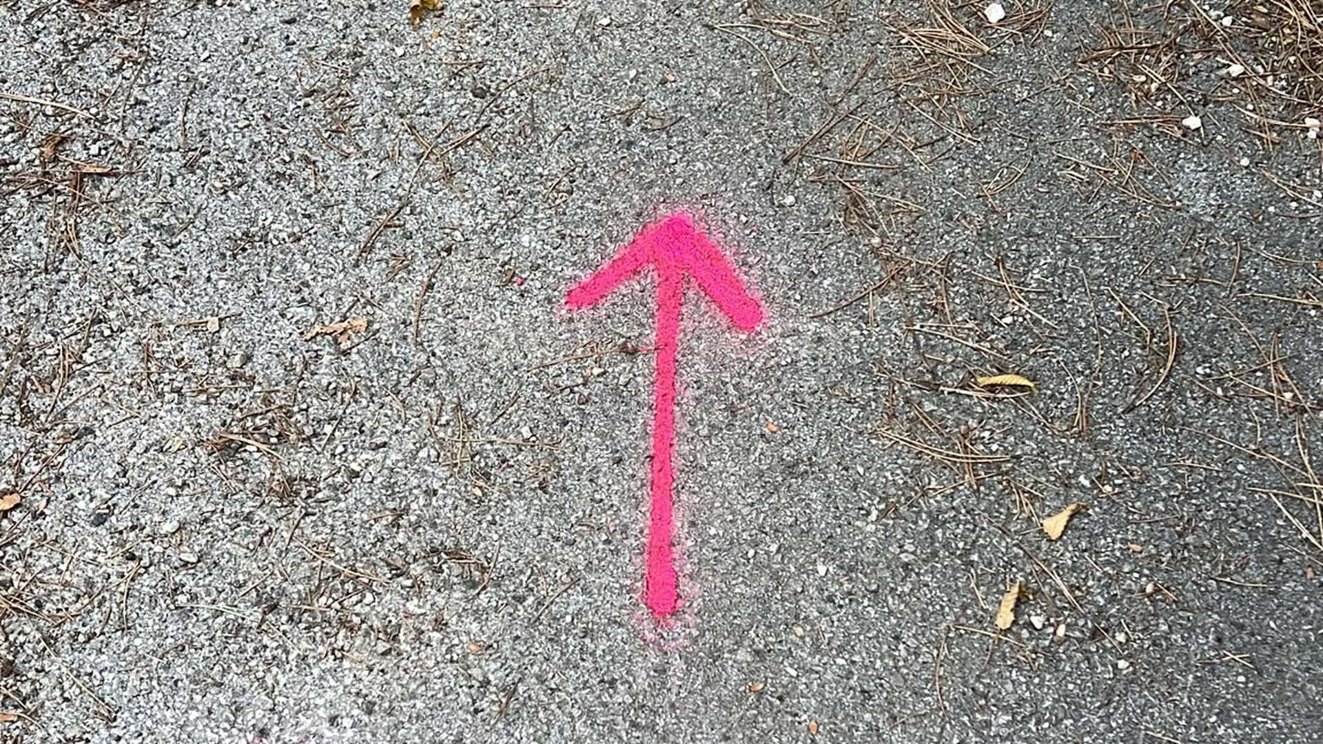 Freccia rosa tracciata con spray sul fondo del sentiero