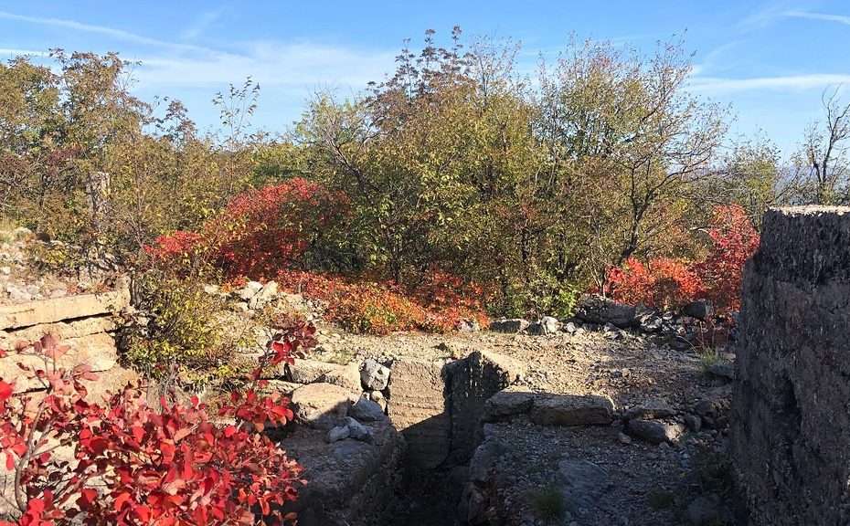 A First World War trench on Monte Ermada, between the red sumach and the wood